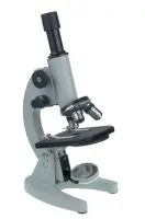 mikroscope