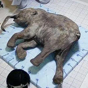 Природный холодильник