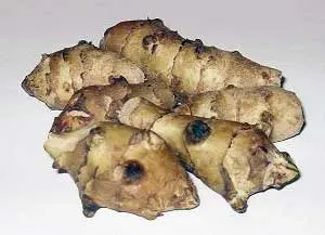 Jerusalem artichoke