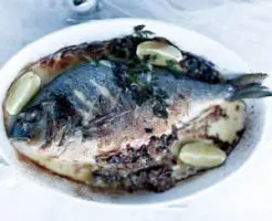 fish