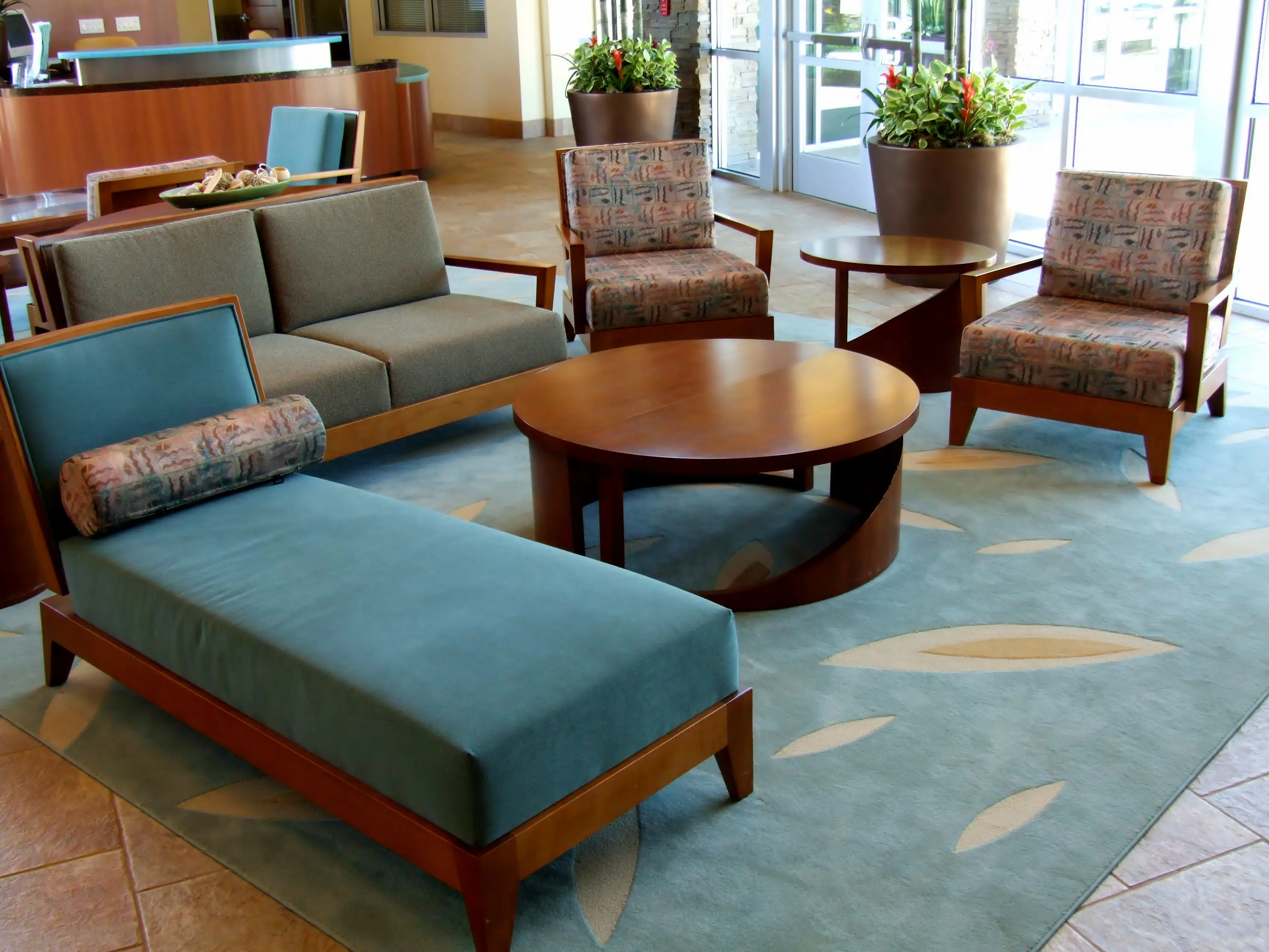 Caring for carpets and furniture