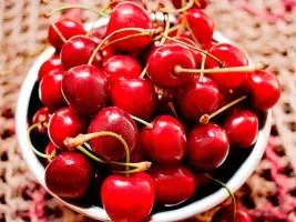Как посадить и вырастить вишню?