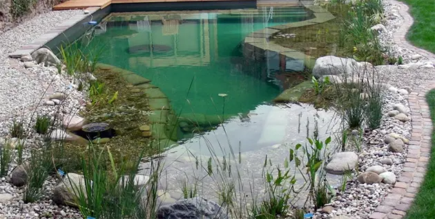 Decorative pond