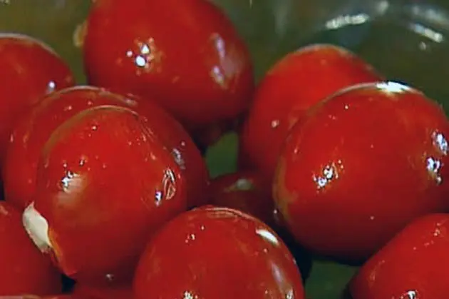 Salted tomatoes