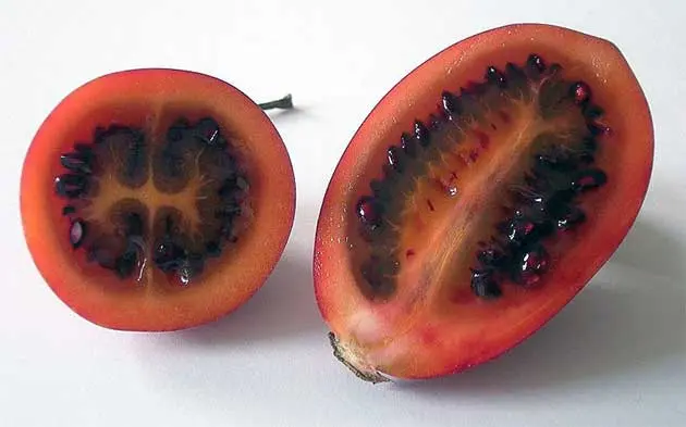 Cifomandra