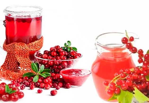 drinks made from fruits and berries