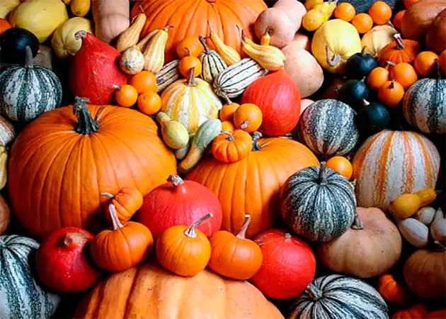 Pumpkin