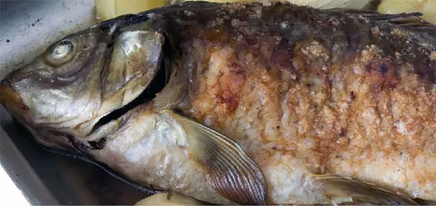 Carp with horseradish