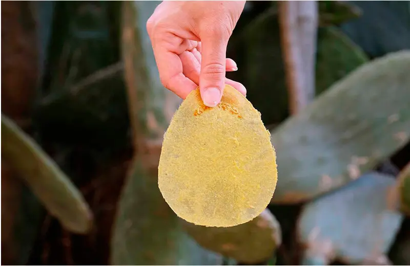 An orange toilet paper substitute has been invented for tourists.