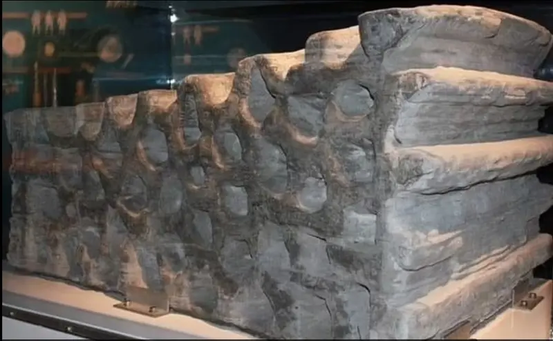 Printed houses, Prada spacesuits, and football fields: what will life be like on the Moon?