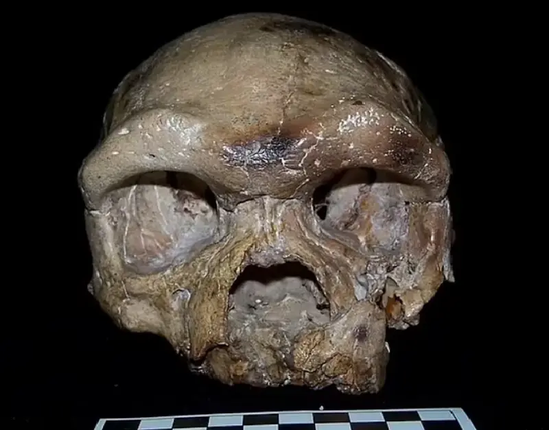 The first humans did not emerge from Africa, but from East Asia: a fresh and controversial theory.