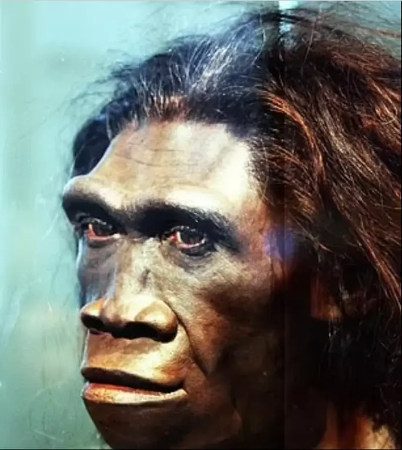 The first humans did not emerge from Africa, but from East Asia: a fresh and controversial theory.