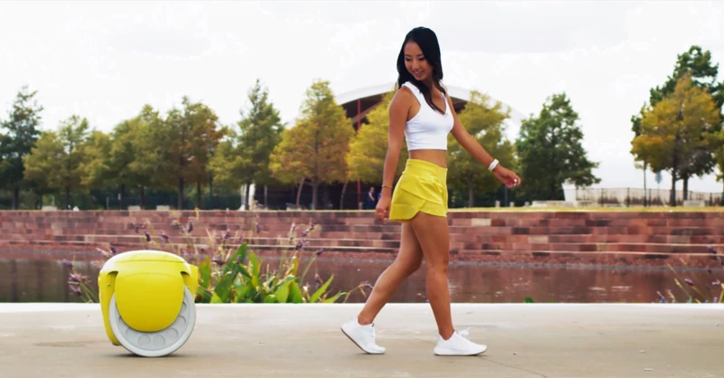 Iron helpers: robots will come in handy anywhere.