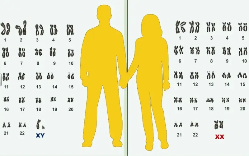 The non-obvious and incredible: scientists attempted to prove that Adam and Eve actually existed.