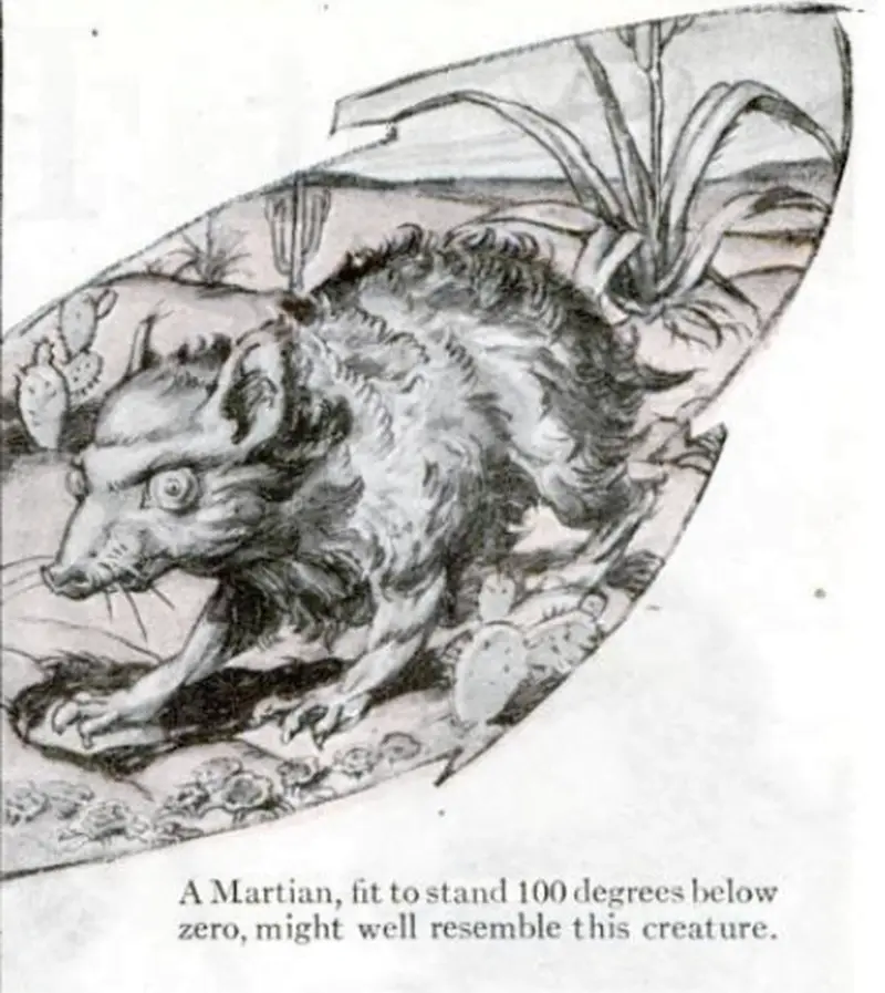 From Martian Beavers to Grey Men: How Our Perceptions of Aliens Have Changed