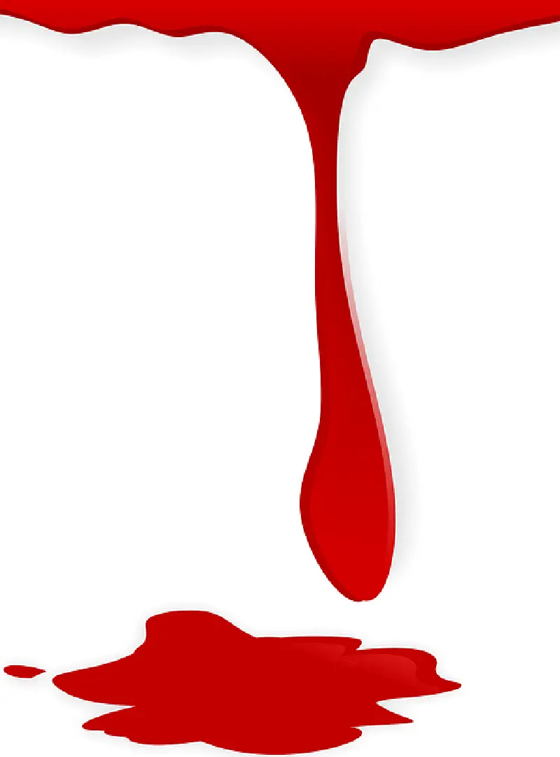 Astrocriminology: scientists studied blood splatter in microgravity conditions.