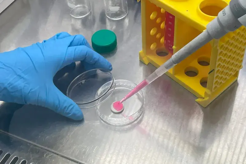 Scientists in South Korea have invented artificial meat that closely resembles the taste of steak.