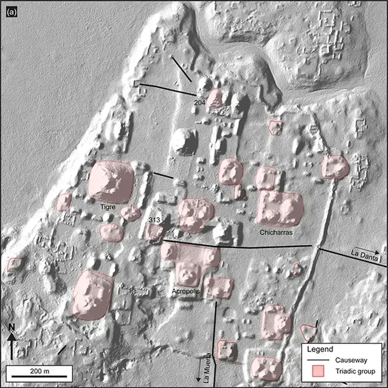 In the jungles of Guatemala, about 1,000 hidden Maya settlements have been discovered.