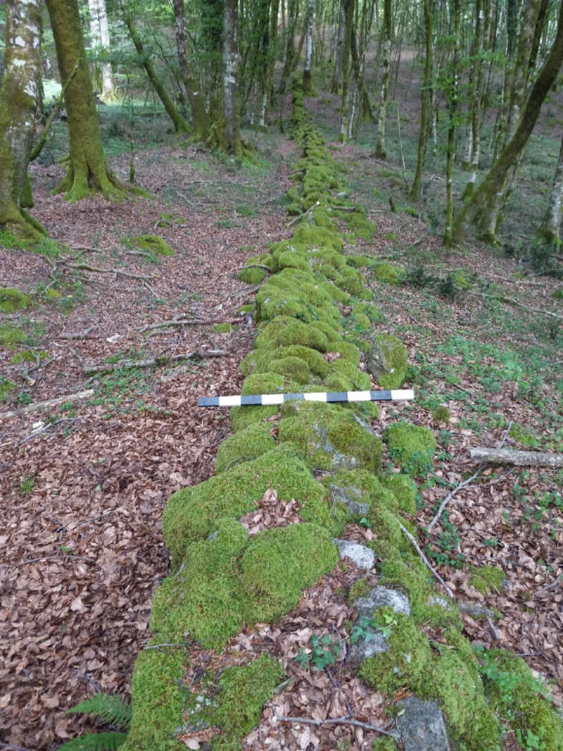 In England, a villa of ancient Roman wealthy individuals with a colorful mosaic has been excavated.