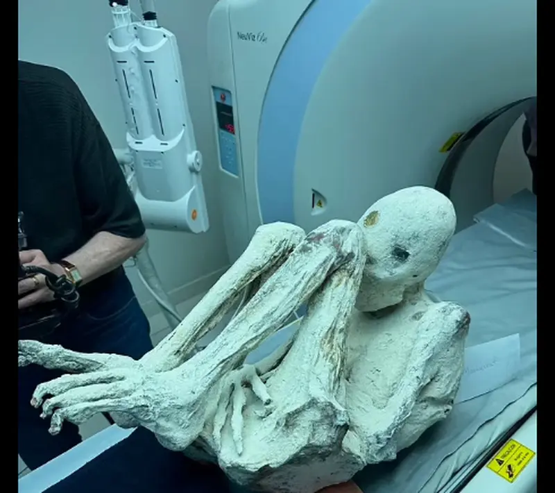 Aliens or not? The US will investigate controversial 