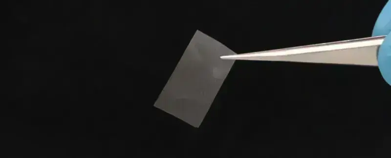 Scientists have invented a biodegradable alternative to plastic: flexible and edible.