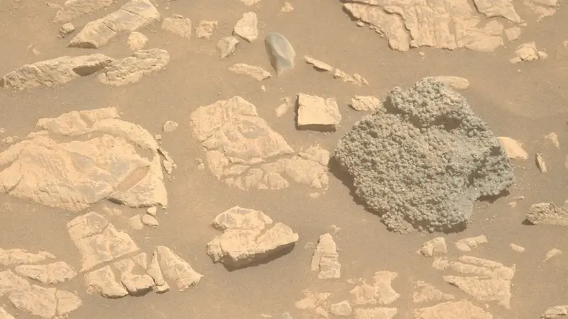 The rover has discovered hundreds of 