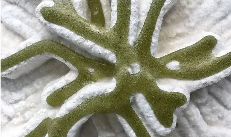 A bio-digital startup is printing tiles made from algae and mushroom mycelium.