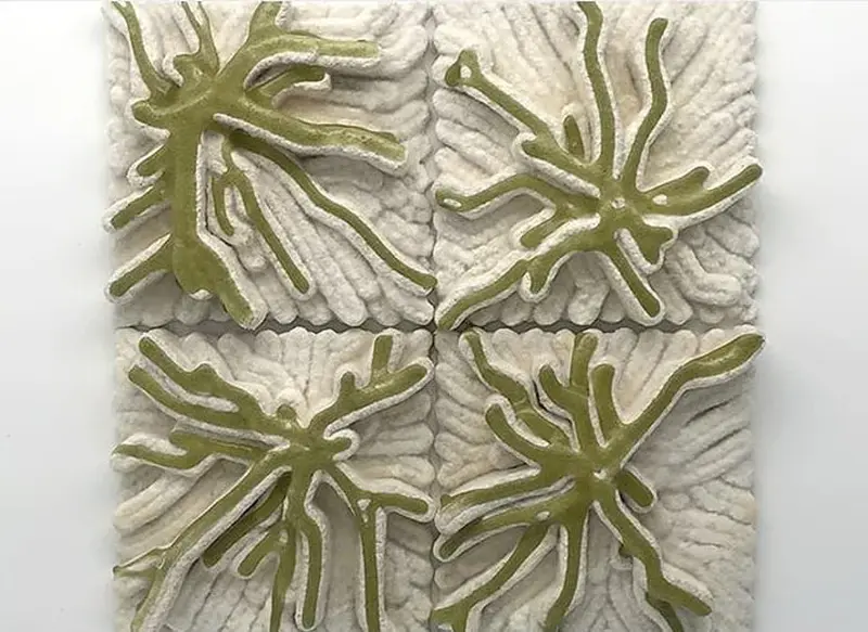 A bio-digital startup is printing tiles made from algae and mushroom mycelium.