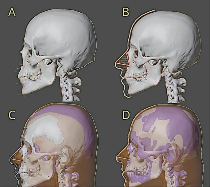 We imagined him differently: scientists have recreated Mozart's true face.