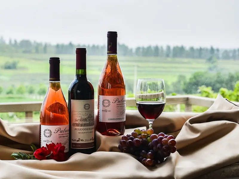 AI determines the place and year of wine production with colossal accuracy.