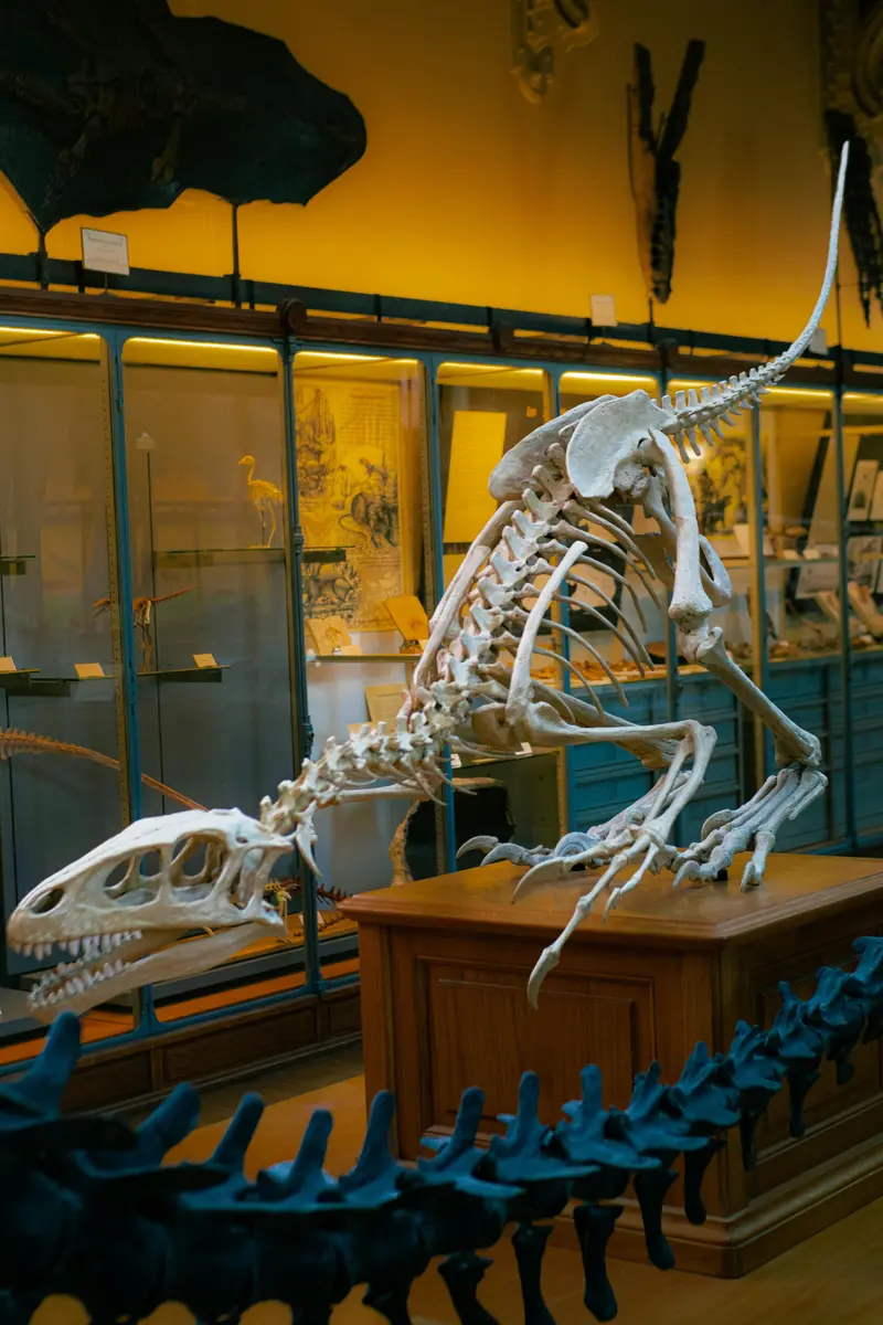Why did dinosaurs dominate our planet for 160 million years?