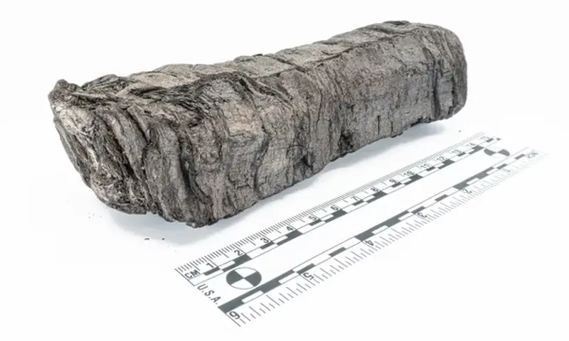 AI helped read the charred scroll from Herculaneum.