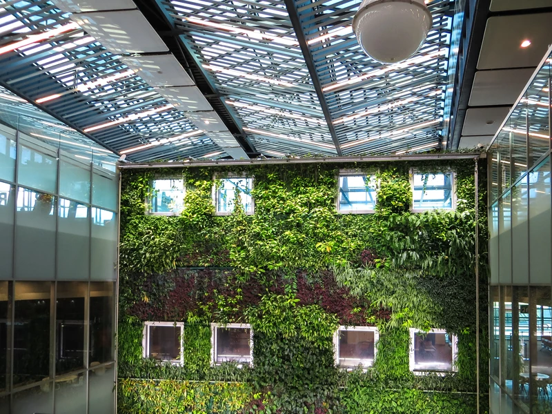 Plant fighters against air pollution