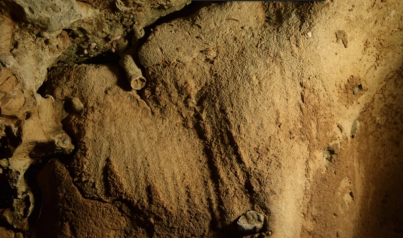 Primitive, yet creative