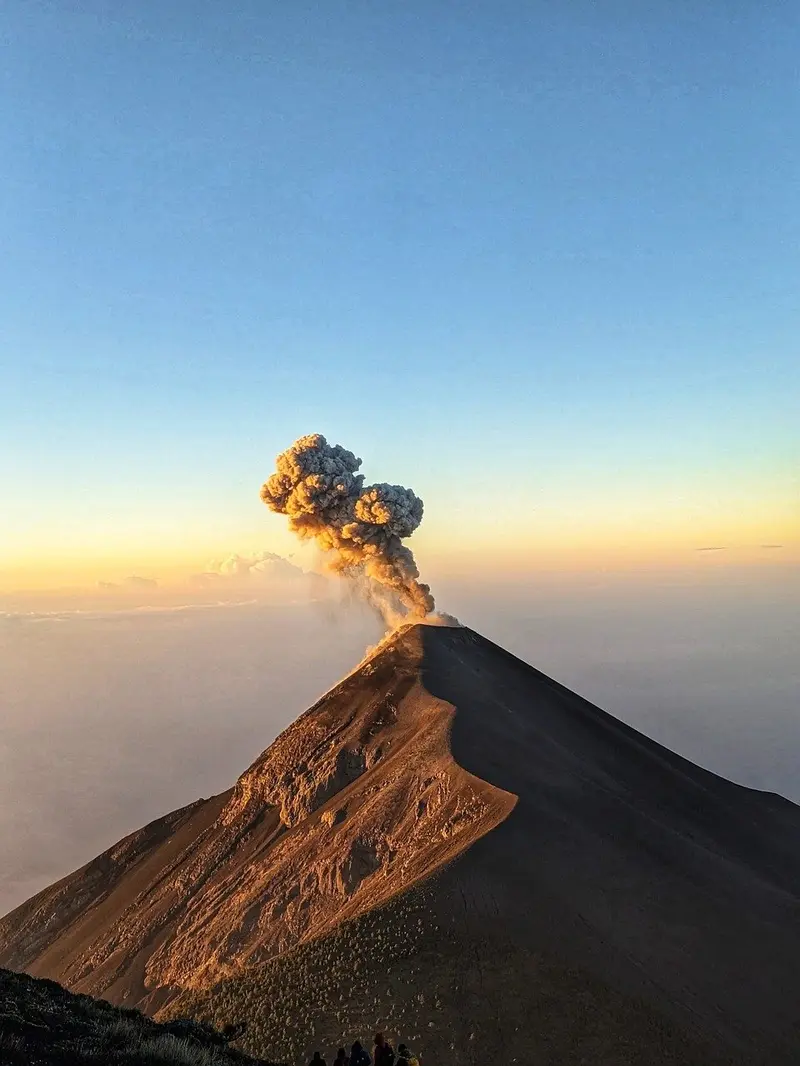 Can goats predict earthquakes and dogs predict volcanic eruptions?