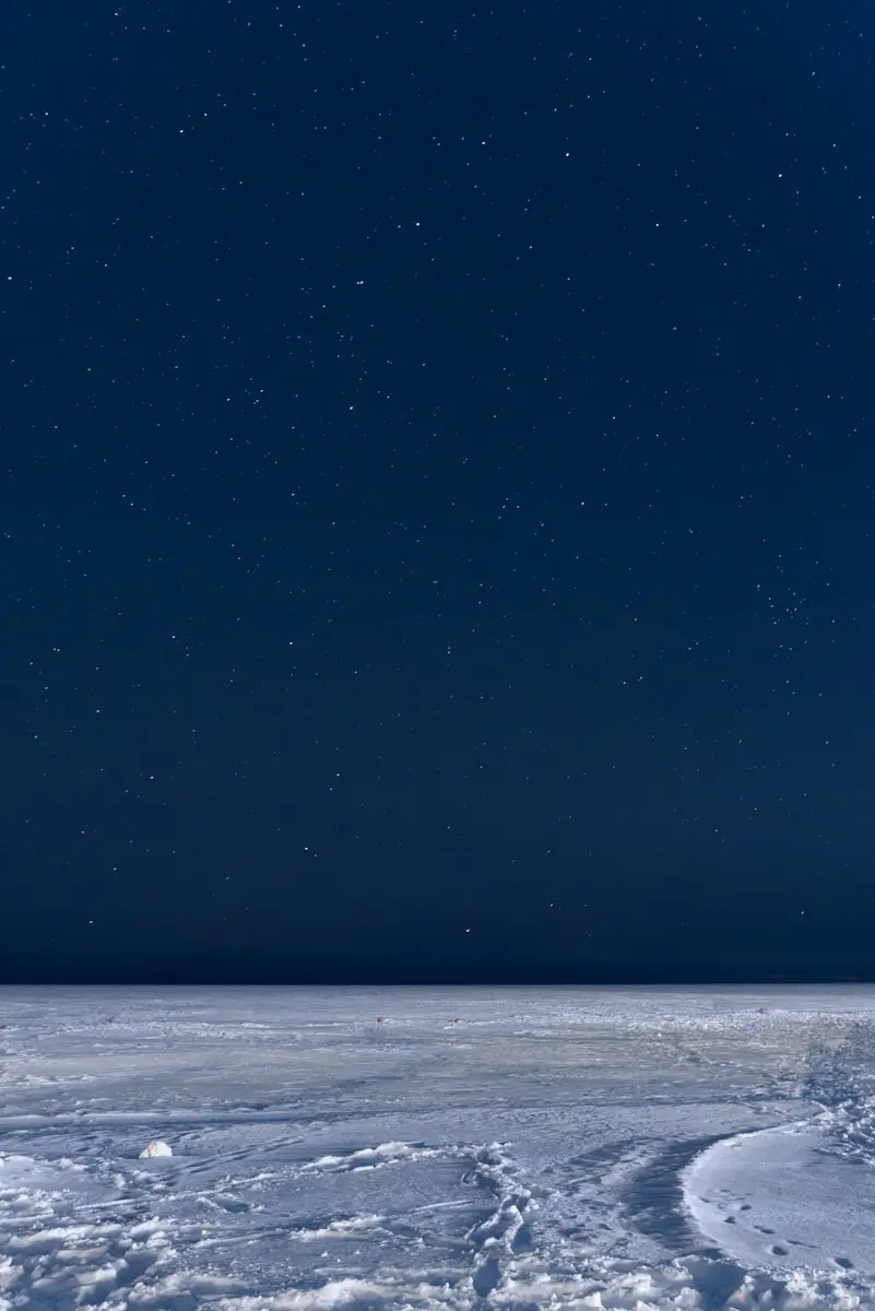 the night sky is full of stars above a vast expanse of snow