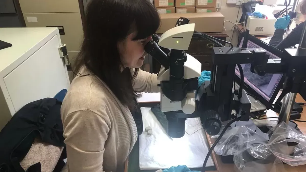 Tools of the ancient goldsmith: archaeologists have uncovered the mystery of the stones found near Stonehenge.