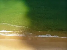 green and brown ocean waves