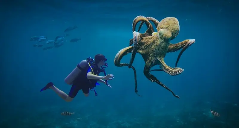 Male octopuses paralyze females with venom during mating to avoid being eaten.