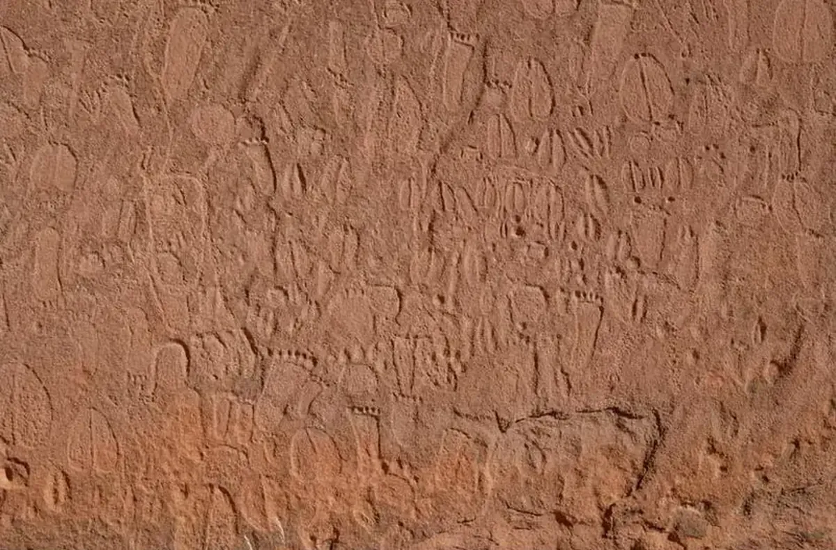 Zoological Painting: A Scientific Book from the Stone Age