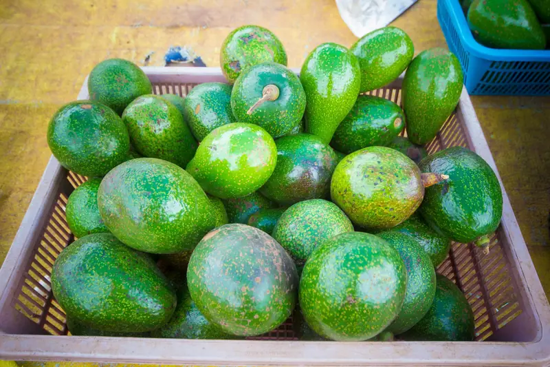 Secrets of Flavor: The Avocado Phenomenon