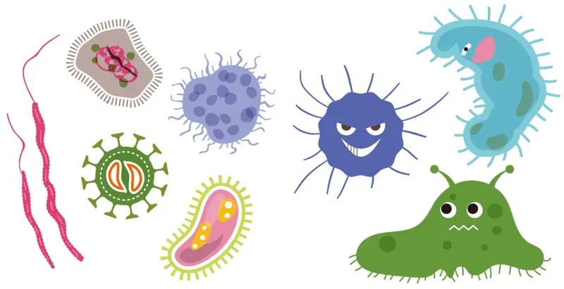 What are the dangers of moldy products?