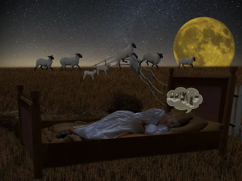 Counting sheep and cheese at night: sleep experts criticize hacks that supposedly cure insomnia.