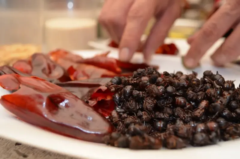Goodbye, salt and vinegar! Edible ants will take your place.