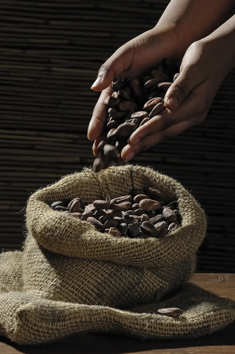 Scientists have invented a new type of chocolate that is healthier and more environmentally friendly.