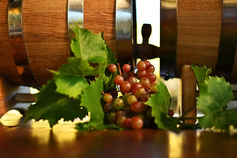 Cognac – the nectar of the gods in modern metropolises.