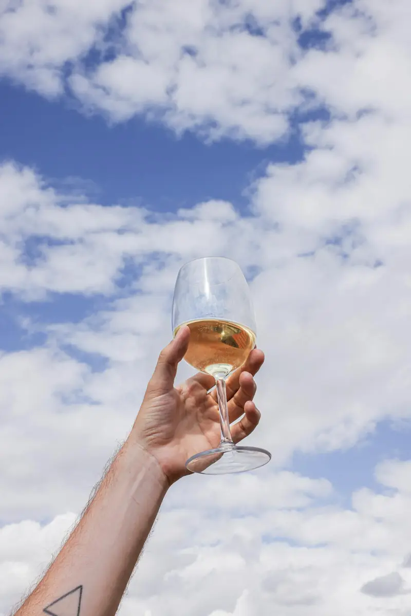 Do you love wine? Thank the asteroid that wiped out the dinosaurs for it.