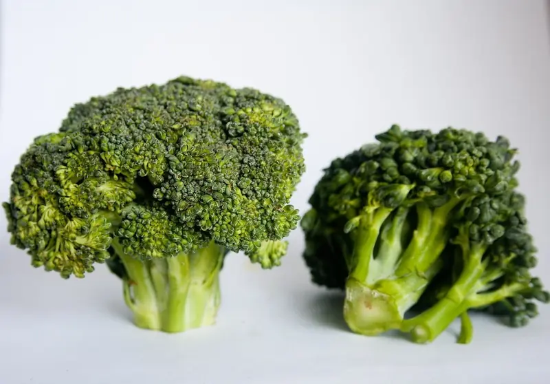 Healthy Lungs: Vitamin K in Broccoli Against Asthma