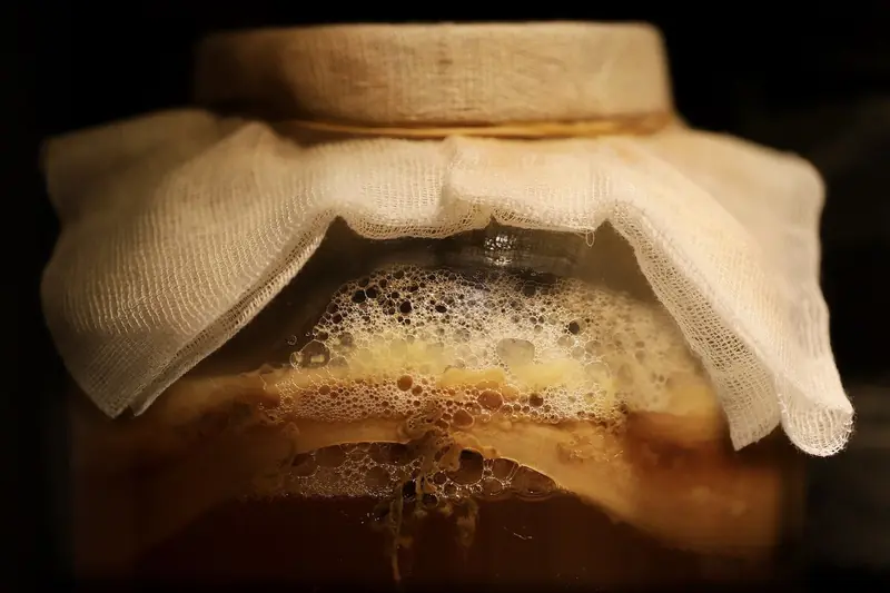 Jellyfish in a Jar: The Benefits and Harms of Kombucha