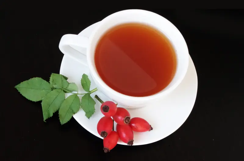 The vitamin magic of rose hips in spring: it heals and enhances beauty!